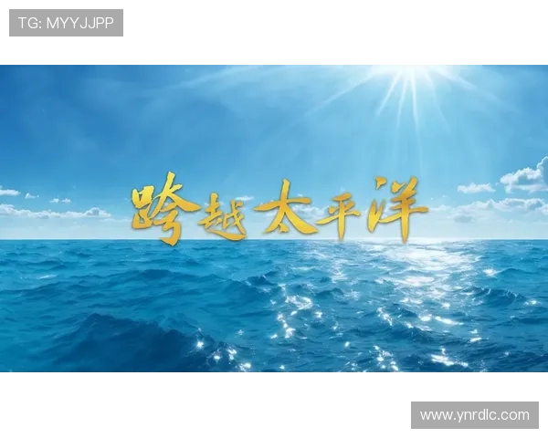 《北京人在纽约qvod》：一场跨越太平洋的寻梦与归属之旅